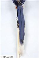 臺灣藍鵲藏品圖，第17張